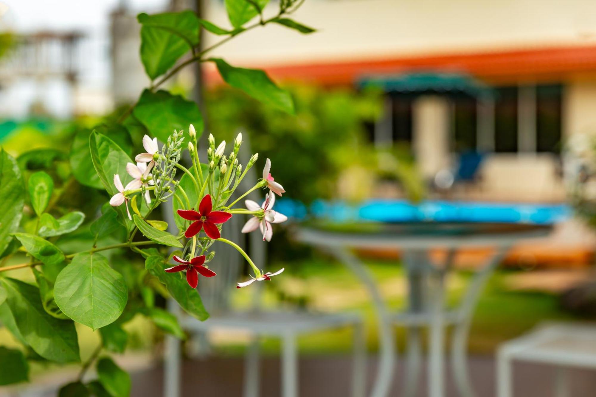 Casa Amora Lonavala Ngoại thất bức ảnh
